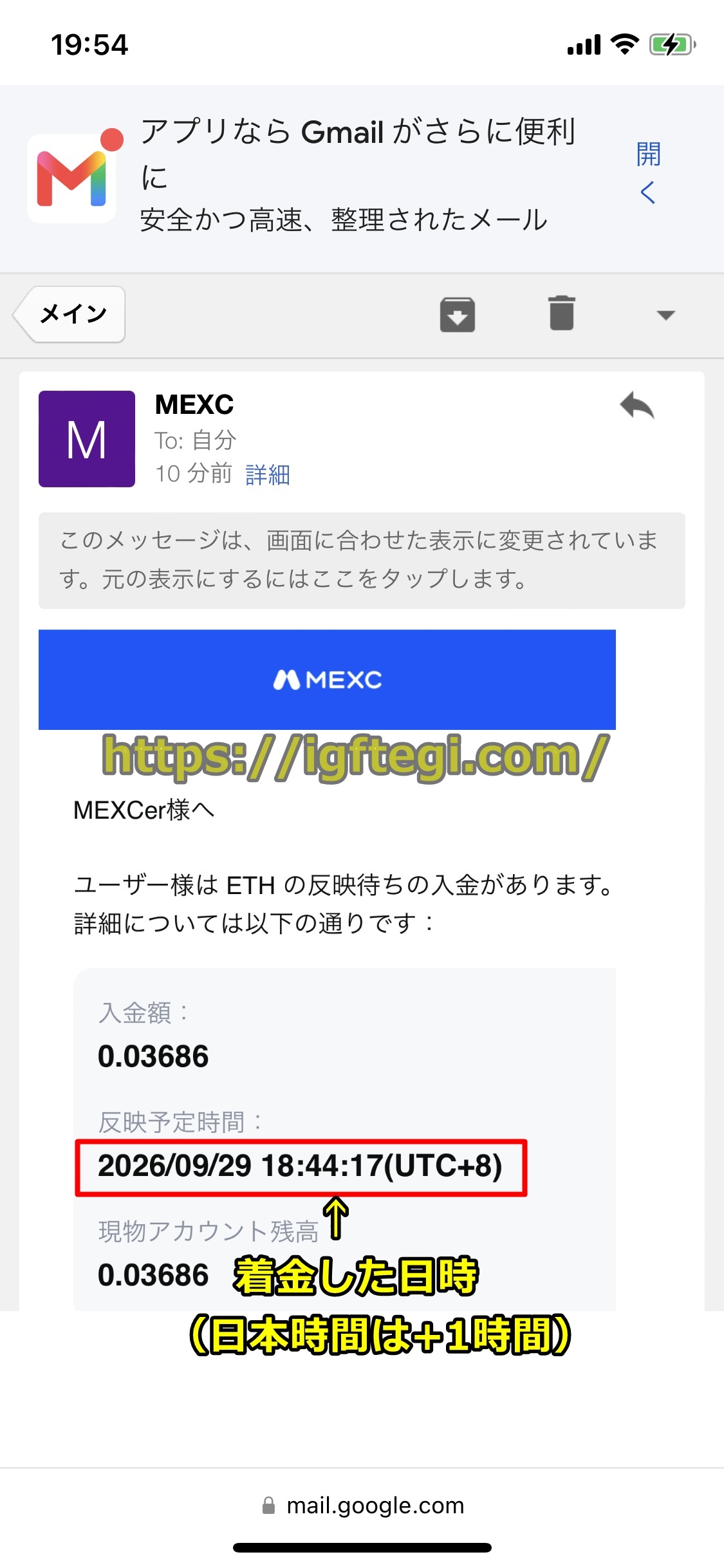 ワンダーカジノ