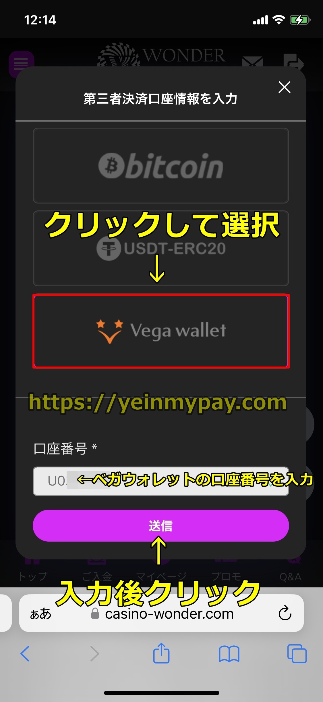 ワンダーカジノ